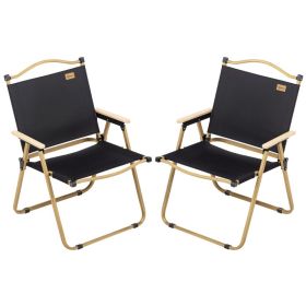 2 Pack Folding Camping Chair, Lightweight & Portable Beach Chairs Armchairs, Perfect for Festivals, Fishing, Picnic and Hiking, Black (Option: Black-760x550x170 mm)